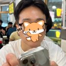 24시 로운동물의료센터 | 7월의 찌니몽