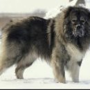 청송동물병원 이미지