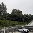 산청패밀리 | 6월 초 다녀온 애견동반 여행_산청 펫글램핑 패밀리룸 내돈내산 후기🐶🦮