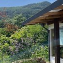 평사리의 그집 이미지