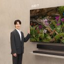 서초M동물의료센터 이미지