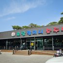 강릉초당