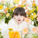 레몬사진관