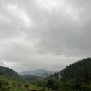 당나귀호스텔 | [산티아고 순례길 - 북쪽길] Day 5 Markina -> Gerekiz: 공식 루트로 안걷다 자빠지기