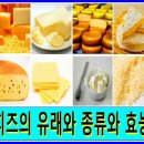 ★ 치즈의 유래와 종류와 효능 ★ 이미지