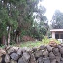 회수동-5 이미지