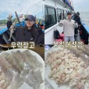인생 우럭 | 인천 배낚시 체험 유선 반가워호 우럭 붕장어 잡은 후기 (주차, 가격, 준비물 공유)