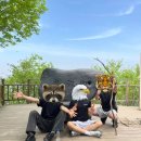 희다방 - 거제시 | 도대체 선관위가 뭘 잘못한거죠??ㅋㅋ