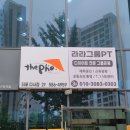 라라그룹피티