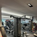 아나토미 스트랭스 이미지