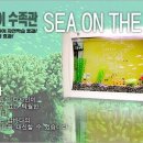아쿠아이천수족관