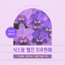 식스팜 웹진 창간호 발간 이미지