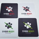오케이디자인 이미지