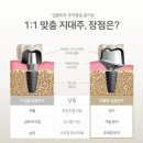 숲&나무치과의원 이미지