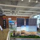 라임벨리 이미지