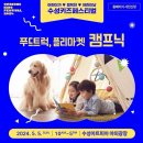 키즈페스티벌 - 샌드아트 이미지