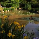 인천아시아드경기장 이미지