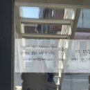 지지밍고 | 이것이 진정한 멕시코 타코의 맛..? | 엘도밍고 솔직 후기