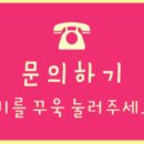 개네가 고양이네 이미지