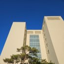 더블루오션 | 강릉 신상 가성비 오션뷰 숙소 추천 <하운드 더 블루> 파노라마 스위트 오션 | 조식 솔직 장단점 상세 후기