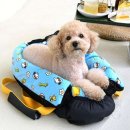 그루비펫 이미지