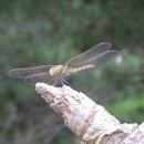 순흥여관 이미지