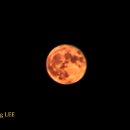 문(moon) Daum카페