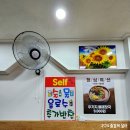 2017029 | 삼척 터미널 맛집 청해감자탕등뼈찜 이렇게 맛있는 감자탕은 처음