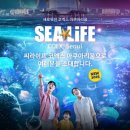 트래블공주 | 쿠팡 트래블 보상 쿠폰 사용후기 (2026.04.15 기한, 씨라이프 코엑스 아쿠아리움 이용권, 놀거리 추천)
