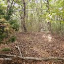 울대2리마을회관 이미지