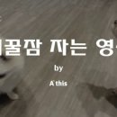 반려동물을 위한 천연아로마제품 원데이 클래스 이미지