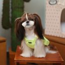 플라이플라잉 이미지