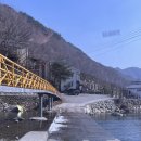 A13 | [울산/양산 부산근교]들살이 오토캠핑장 애견동반 캠핑장 추천 A13, A14 사이트 솔직후기