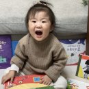 수나책방