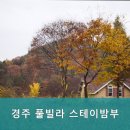 스테이 밤부 | 경주 팬션 경주 풀빌라 스테이밤부 내돈내산 솔직 후기