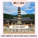 마곡사 가는길 민박 | 공주 마곡사 여행 국내 유네스코 지정 사찰 (여자 혼자 여행 후기)