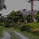 똘내미집 이미지