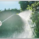 흥농종묘 이미지