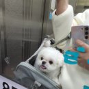 참미용뷰티샵