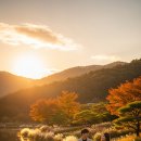 검한1길 이미지