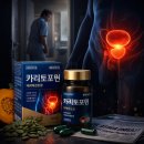 건강한 생활 요리 | 카리토포텐 가격 효능 성분 부작용 후기