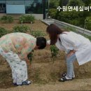 연세실버벨리 이미지