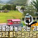 괴짜농부