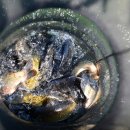 힐링낚시터 이미지