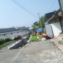 모판