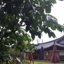 으뜸펜션 이미지