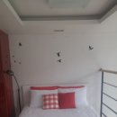 하늘닿은목장 이미지