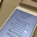 에스지투어 네이버블로그