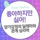 좋아하지만 싫어!: 양가감정의 딜레마와 관계 심리학 이미지