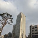 맹그로브 동대문 | [동대문구/동역사역] 집처럼 머물며 일상을 흥미롭게 탐험하는 '맹그로브 동대문' 솔직후기